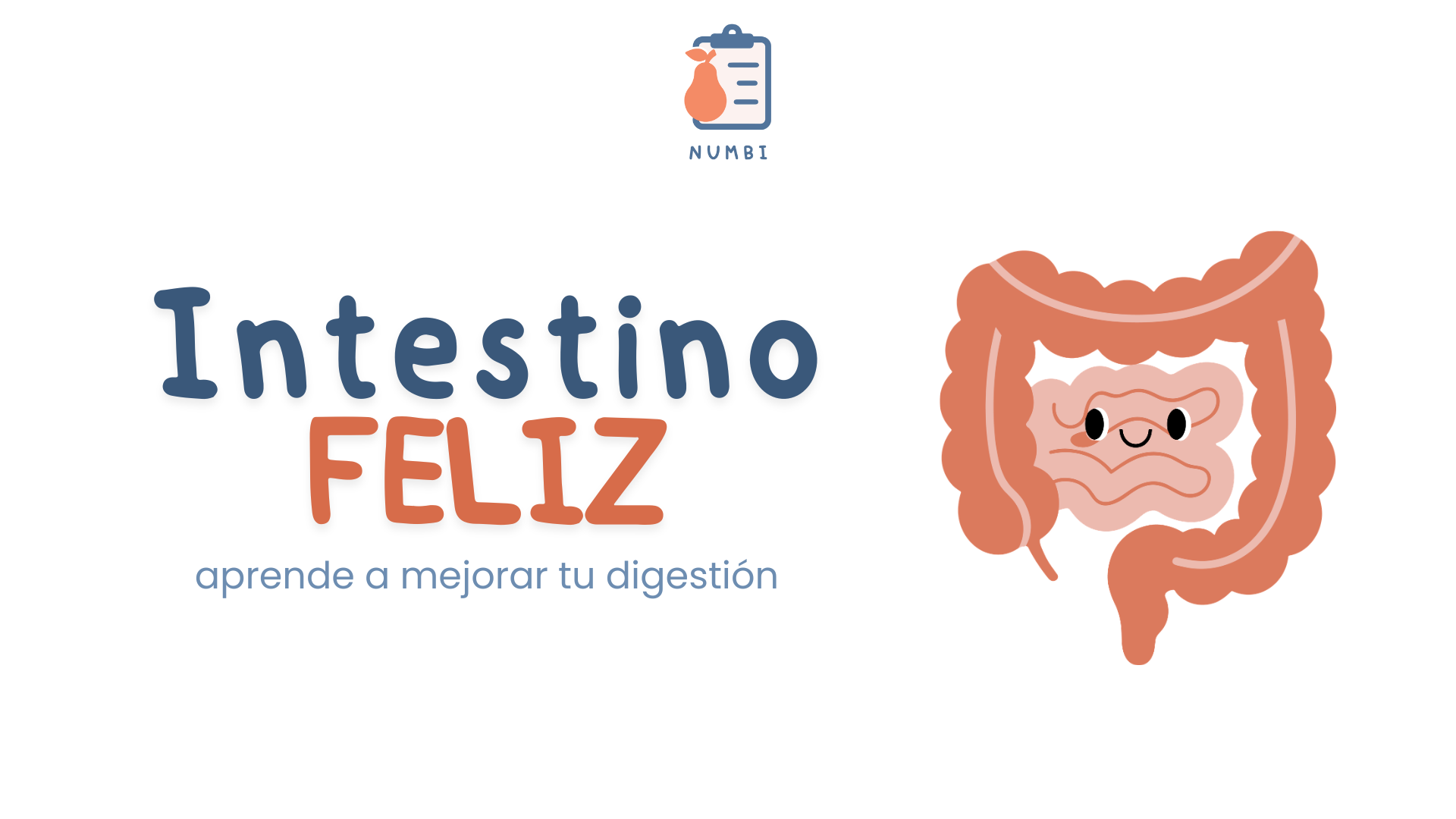 Intestino Feliz
